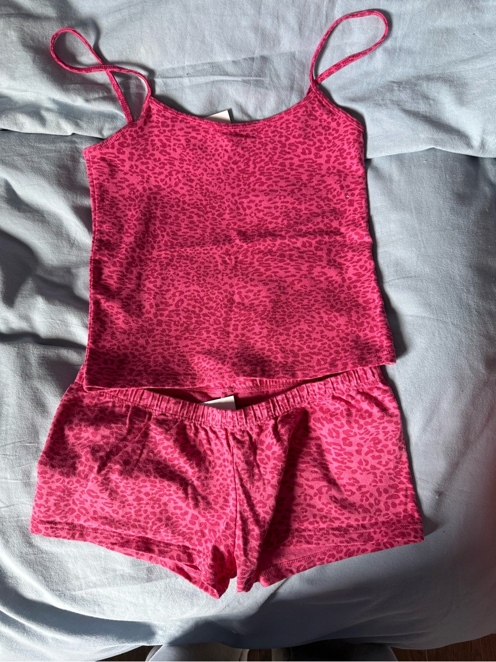 Brandy Melville Hot Pink Leopard Print Camisole & Shorts Pajama Set